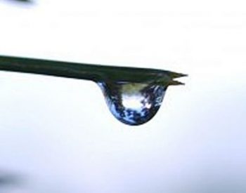 drops_1680