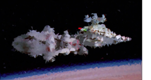 A low-poly of the opening scene from A New Hope as Darth Vader's Star Destroyer overtakes a Rebel Blockade Runner. I adapted this low-poly javascript algorithm to produce interesting and unique artwork from my photography and other sources.
