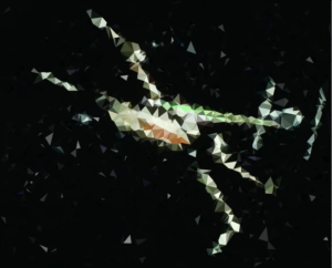 A TIE Fighter chases an X-Wing in the closing moments of A New Hope in this low-poly rendition. I adapted this low-poly javascript algorithm to produce interesting and unique artwork from my photography and other sources.